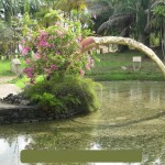 حديقة ليجندا Taman LAGANEDA PARK لنكاوي