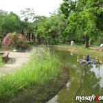 حديقة ليجندا Taman LAGANEDA PARK لنكاوي