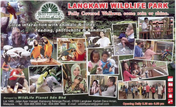 Langkawi Bird Paradiseحديقة الطيور في جزيرة لنكاوي