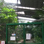مدخل الحديقة الاستوائية حديقة الطيور في جزيرة لنكاوي ماليزيا