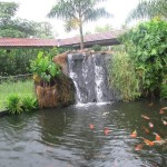 بحيرة الاسماك حديقة الطيور في جزيرة لنكاوي ماليزيا