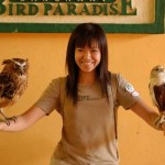  حديقة الطيور في جزيرة لنكاوي ماليزيا