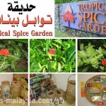 حديقة التوابل في بينانج tropical spice garden