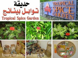 tropical spice gardenحديقه التوابل في بينانج