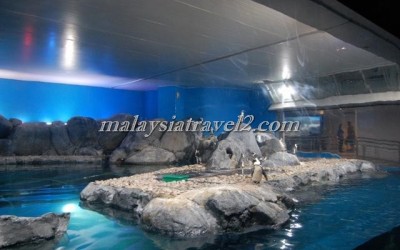 مركز عالم تحت الماءUnderwater World Langkawi8