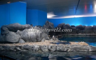 مركز عالم تحت الماءUnderwater World Langkawi9