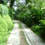 حديقة التوابل في جزيرة بينانج