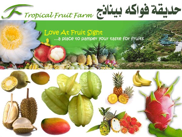 tropical fruit farm حديقة الفواكة في بينانج