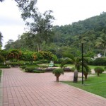 ممرات داخل الحديقة في حديقة النباتات و الزهور في بينانج