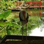 في حديقة الطيور في بينانج