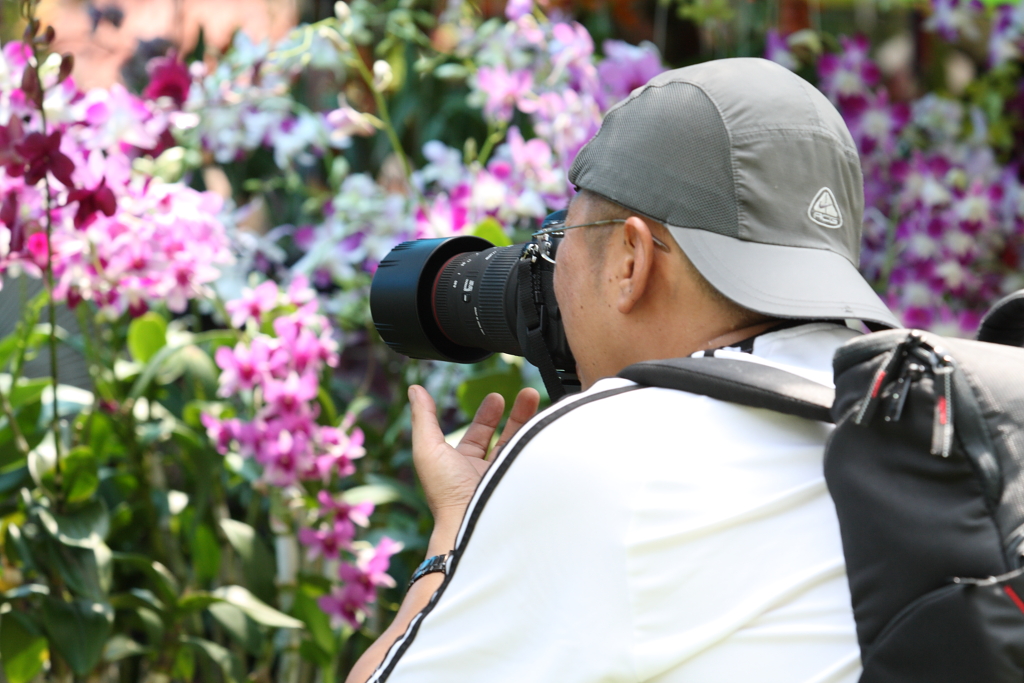 مصور يأخذ الصور الرائعة في حديقة النباتات و الزهور في بينانج