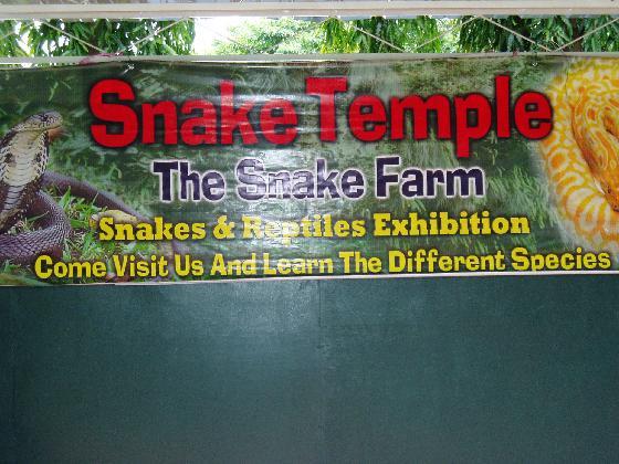 The Snake Temple معبد الافعى في بينانج