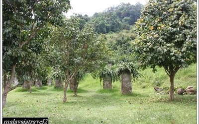 tropical fruit farm حديقة الفواكة في بينانج1