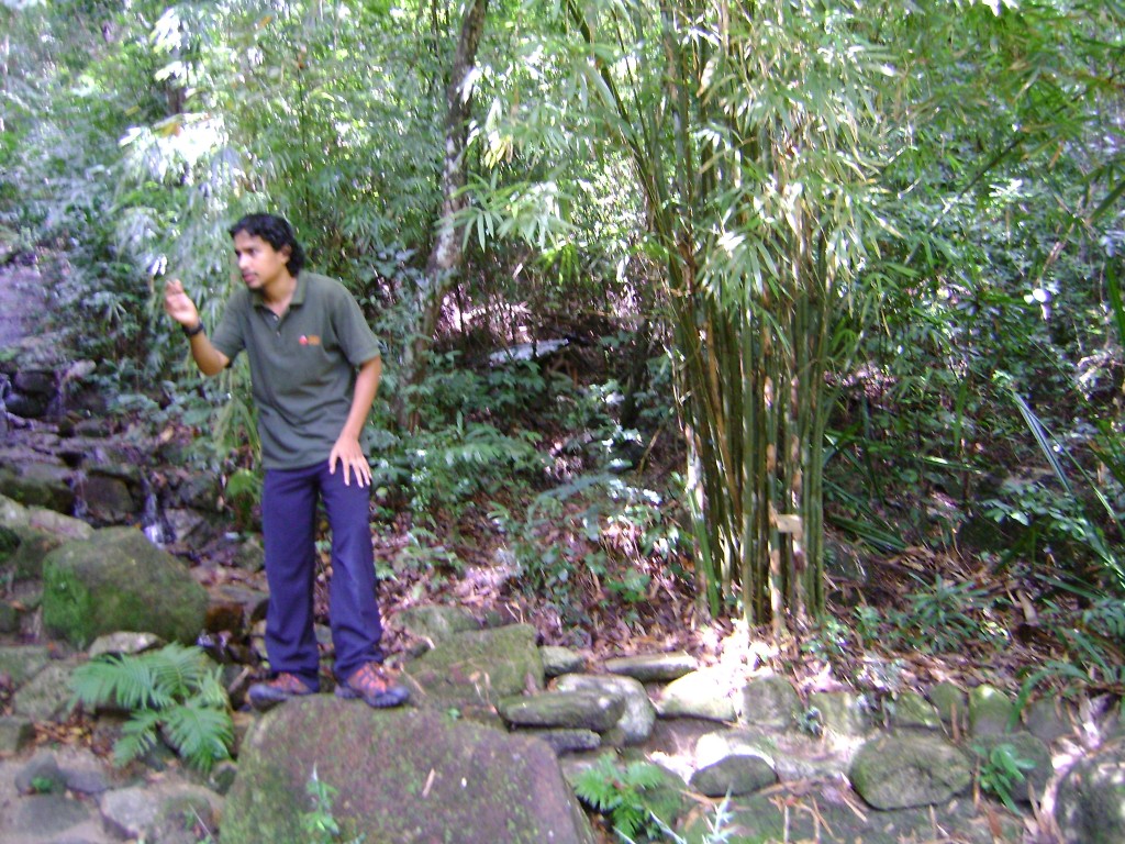 المرشد في حديقة التوابل في جزيرة بينانج