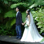 تصوير لعروسين في حديقة التوابل في جزيرة بينانج