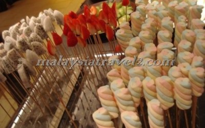 shangri-la's rasa sayang resort & spa فندق شنغريلا راساساينغ بينانج