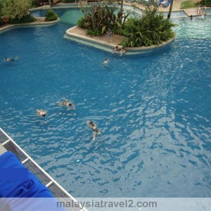 فندق هارد روك في بينانج Hard Rock Hotel Penang 