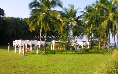 Mutiara Burau Bay Resort Langkawi فندق موتيارا بوراو باي لنكاوي27