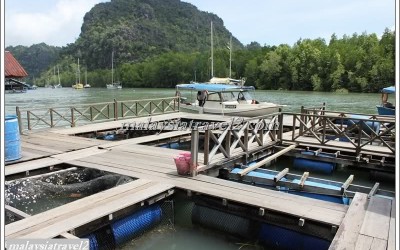 MANGAROVE LANGKAWI-المانغروف - لنكاوي12