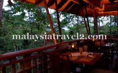 The Datai Resort Langkawi فندق داتاي جزيرة لنكاوي1