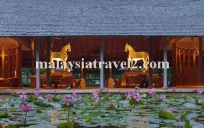 The Datai Resort Langkawi فندق داتاي جزيرة لنكاوي2