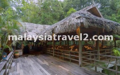 The Datai Resort Langkawi فندق داتاي جزيرة لنكاوي