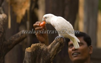 Sunway Lagoon Theme Park مدينة الألعاب صنواي لاجون2