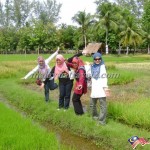 Laman Padi Langkawi Rice Museum لامان بادي مزارع الارز