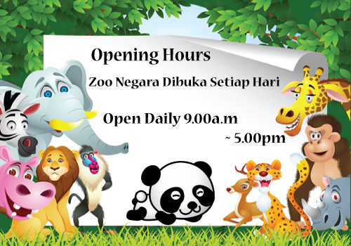 Opening-hours-and-rates