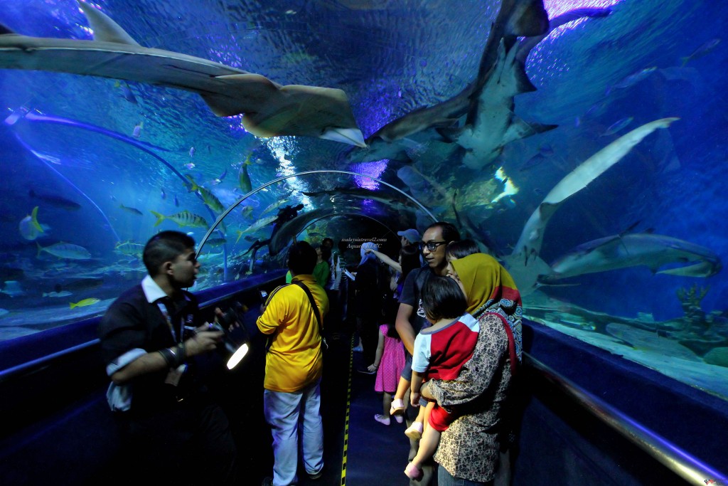 Underwater_tunnel_in_Aquaria_KLCC