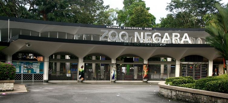 about-kualalumpur-zoo-negara-malaysia