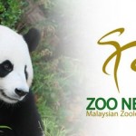 حديقة الحيوانات كوالالمبور زو نيجارا Zoo Negara