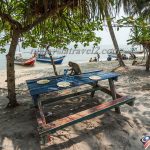 شاطئ القرود الرائع في بينانج monkey beach penang