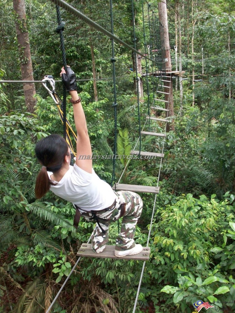 skytrex adventure shah alam12