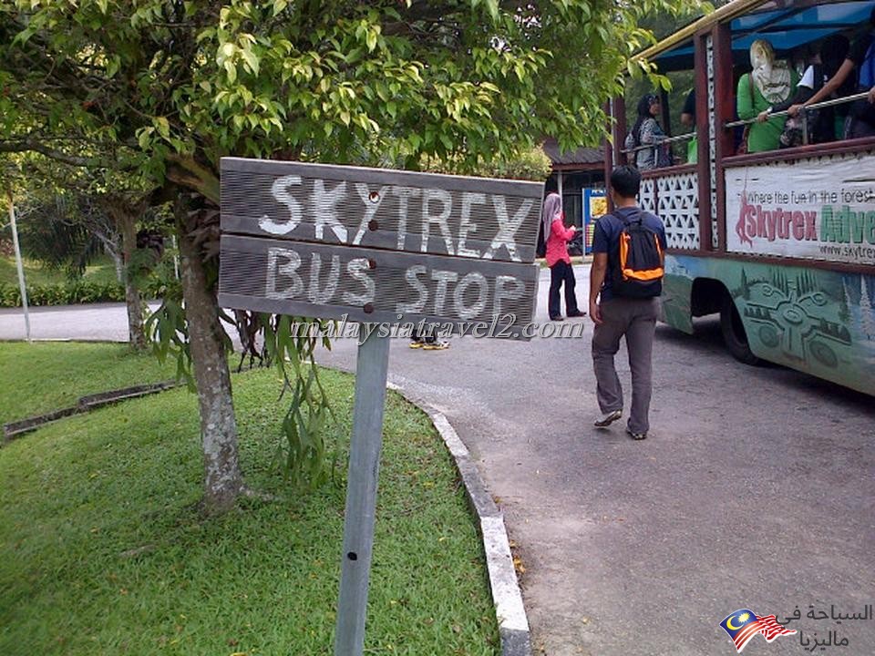 skytrex adventure shah alam8