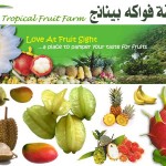 حديقة الفواكة في بينانج tropical fruit farm